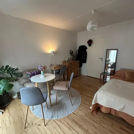 Cozy And Beautiful In The Heart Of